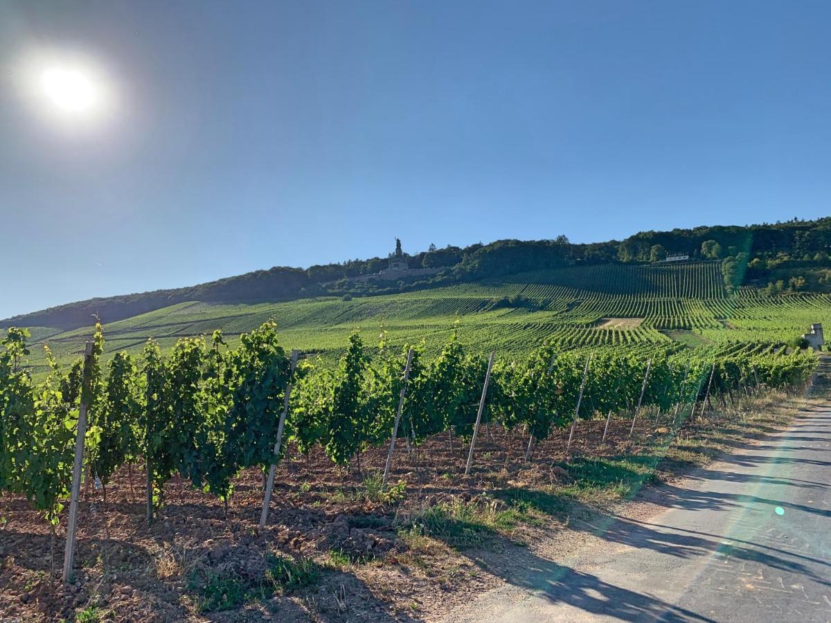 Ferienwohnung Fewo Zur Goldenen Traube Rüdesheim am Rhein Exterior foto